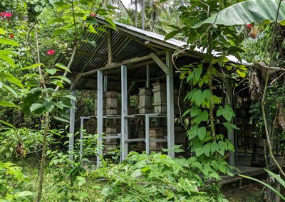A building in a densely vegetated landscape, filled with beehive boxes