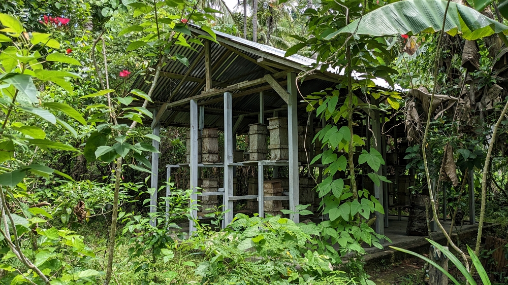 A building in a densely vegetated landscape, filled with beehive boxes