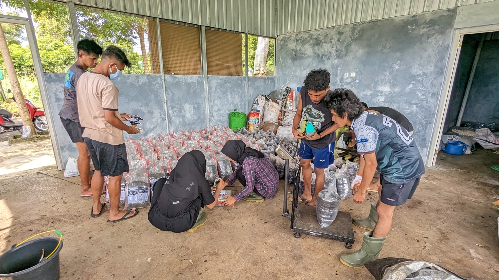 Three male students to the left pouring compost in a bag and weighing it, two female students to the left crouching and labeling the bags of compost, two male students further to the left handing the female students labels for the compost bags in a room filled with bags of compost