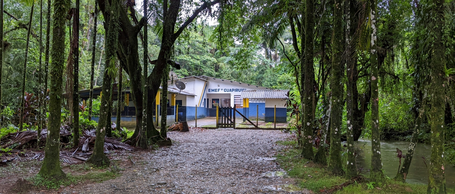 Blue and white single story building with an outside covered area and a fence surrounded by tall and dense rain forest trees