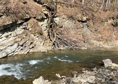 Layered rocks covered in tree roots rise up at an angle from a river that gently curves around large rocks and pebbles