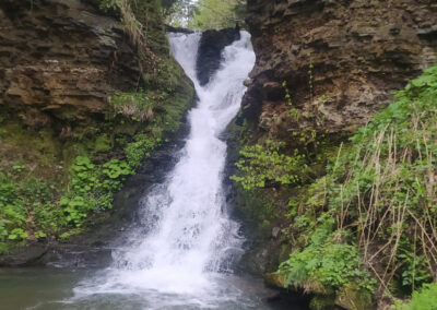 A powerful waterfall tumbles over moss-covered cliffs into a pool of water below