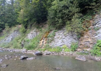Layered gray rocks slanting down into the ground near a river