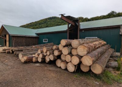 Logs piled in front of a green building